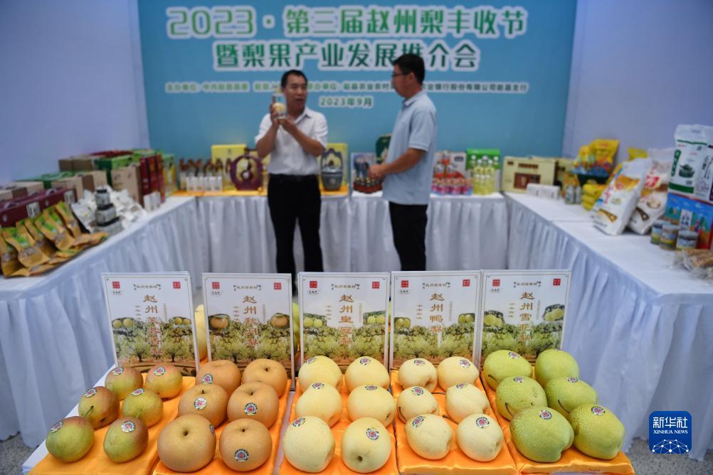 满贯游戏机